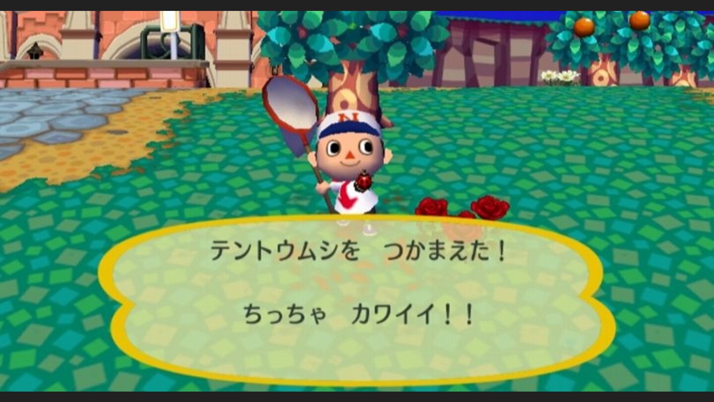 animal_crossing_cityfolk_wii_003