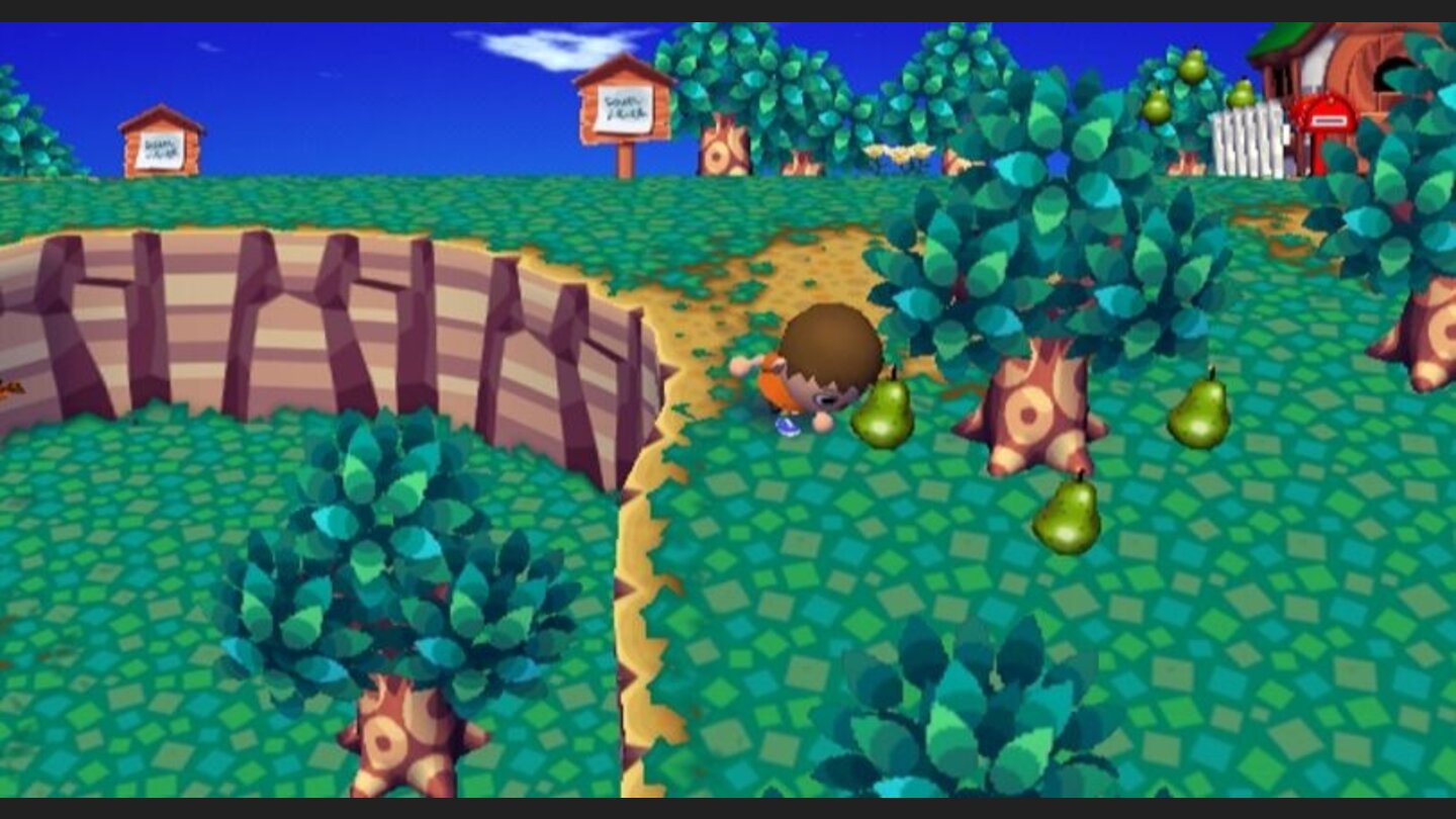 animal_crossing_cityfolk_wii_023