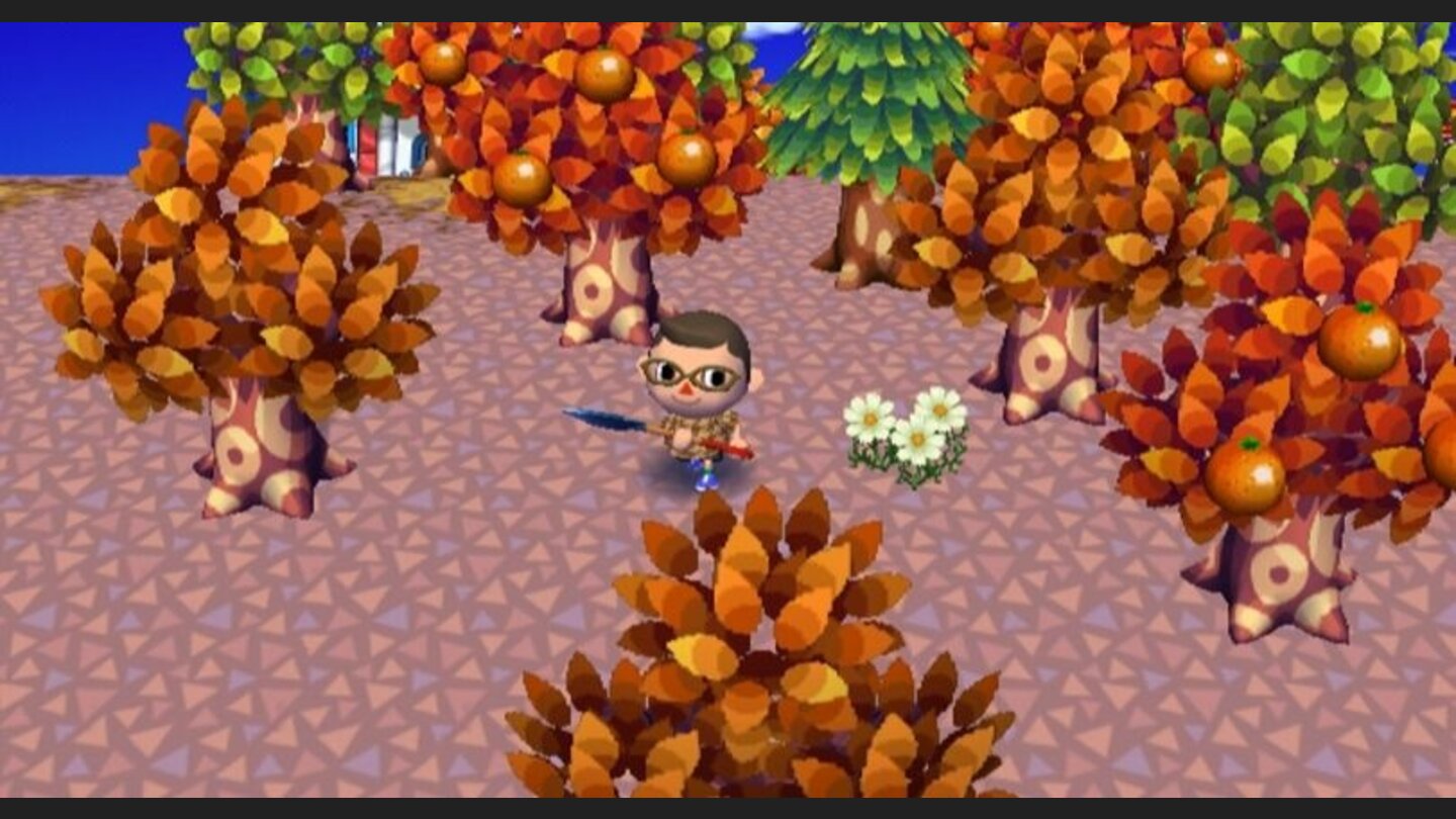 animal_crossing_cityfolk_wii_028