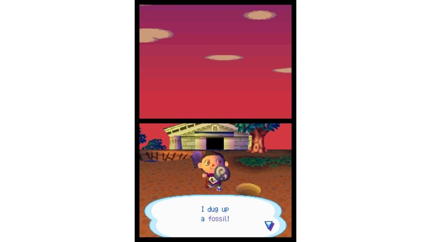 Animal Crossing Wild Wild World DS 10