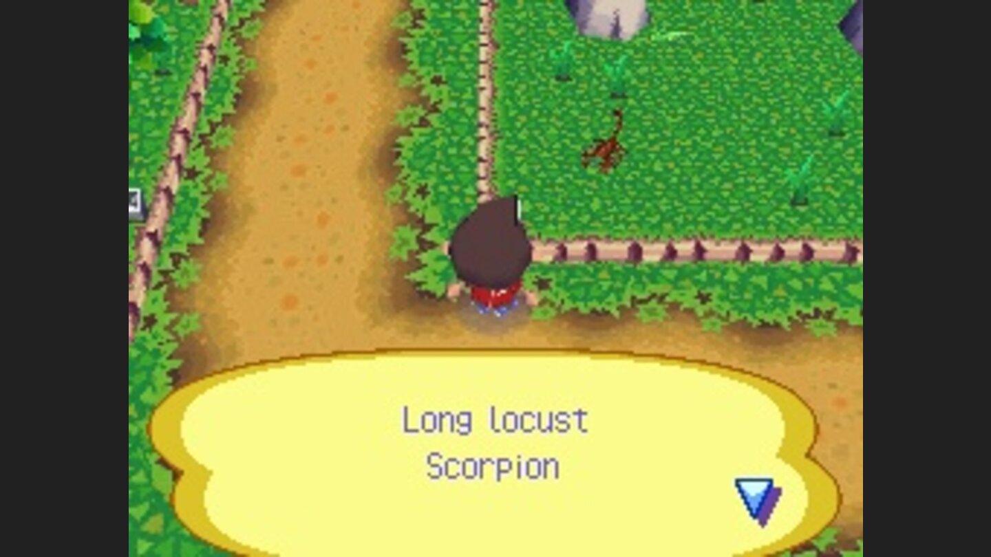 Animal Crossing Wild Wild World DS 4