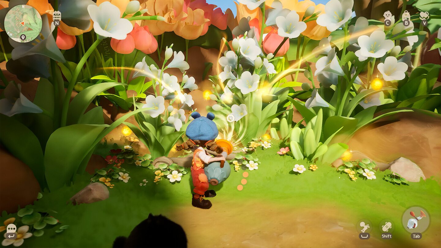 Animula Nook Offizielle Screenshots