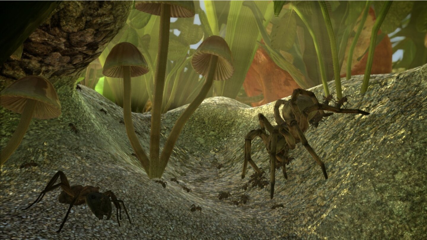 Ant Simulator