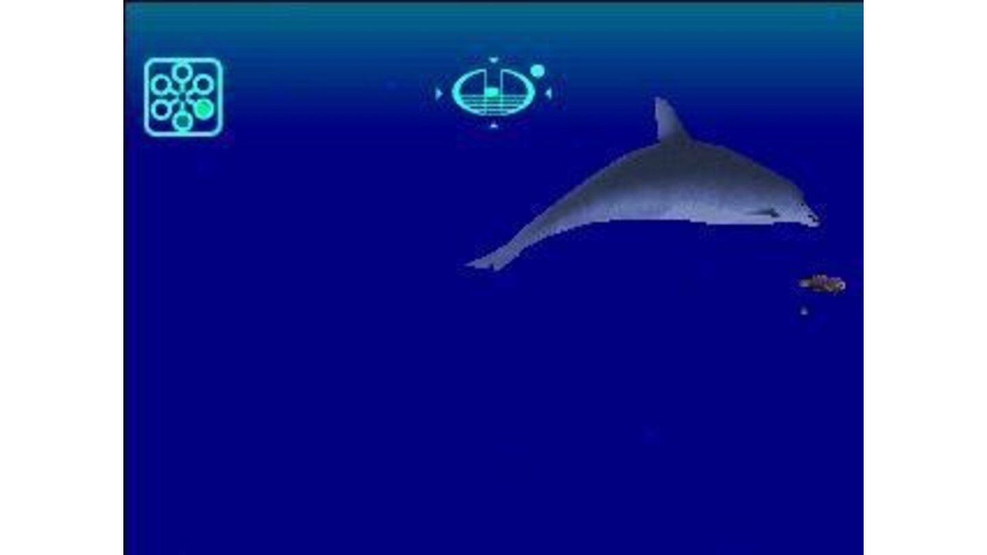 I've played this game for over a year and never seen a dolphin. Two minutes into taking screenshots and the blubbery fellow has already show his snout.