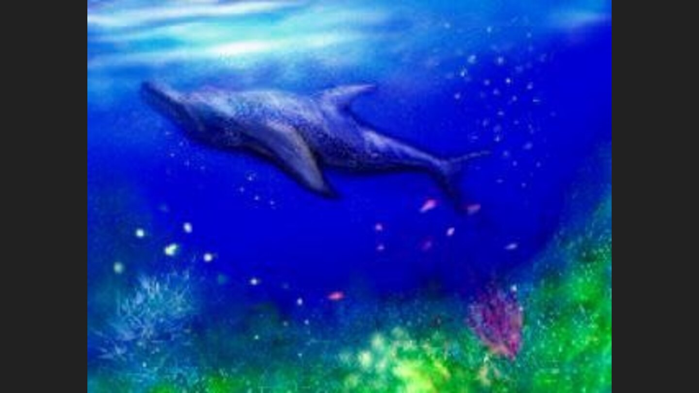 Opening art