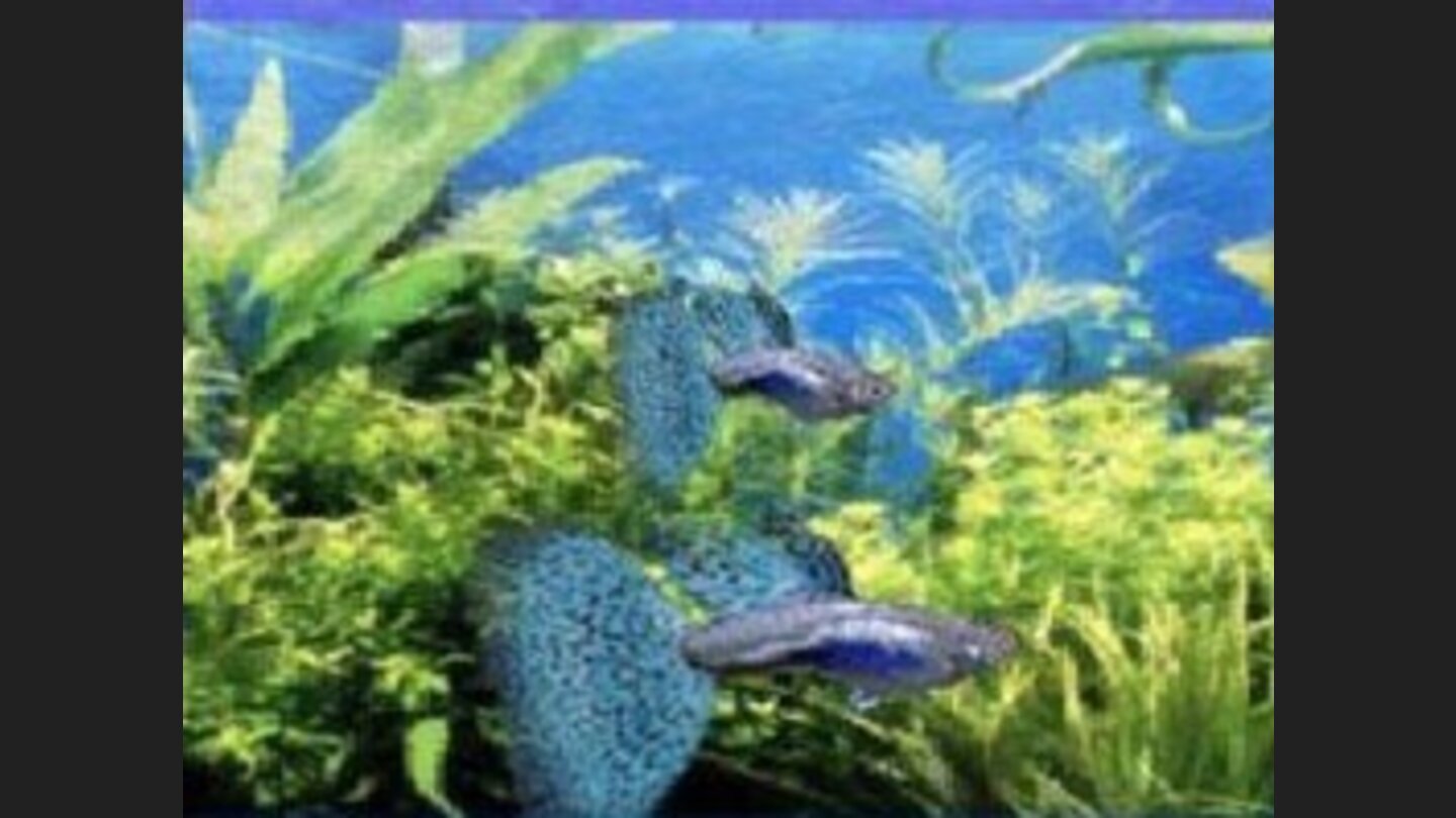 aquarium_by_ds_003
