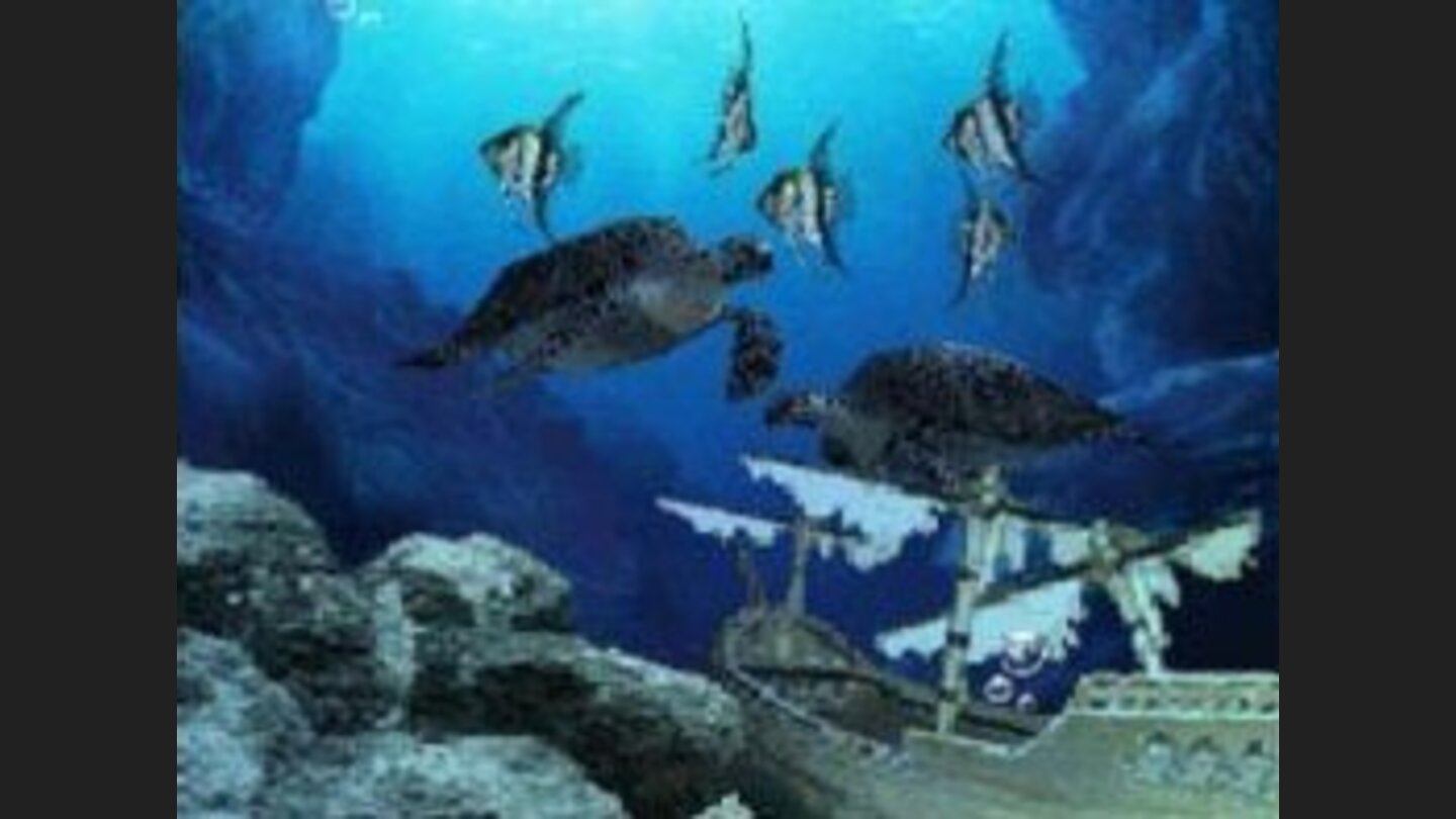 aquarium_by_ds_006