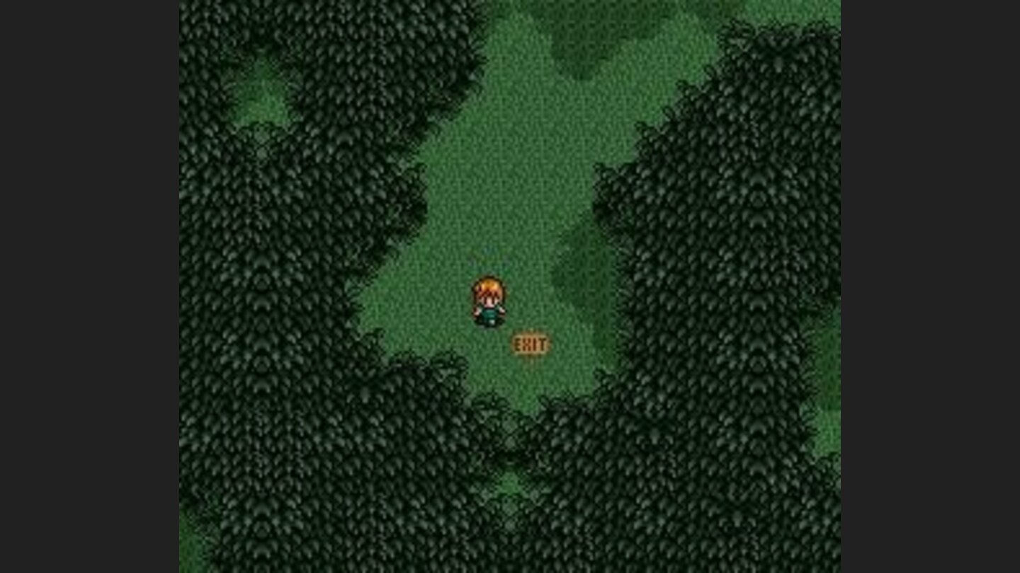 Through the forest