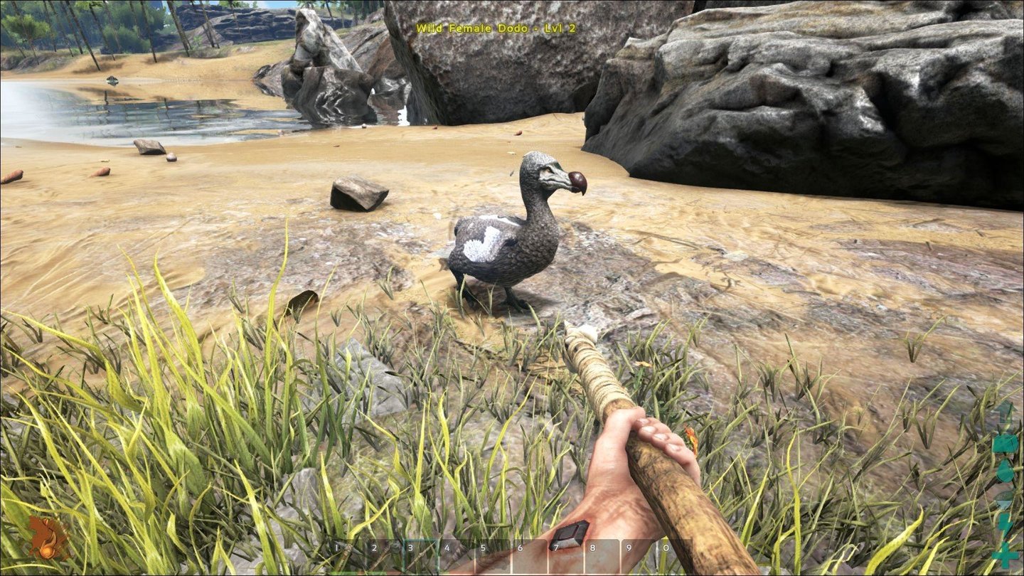 Ark: Survival EvolvedOh, ein Dodo! Natürlich könnten wir es nie übers Herz bringen, diese heute ausgestorbene Vogelart …