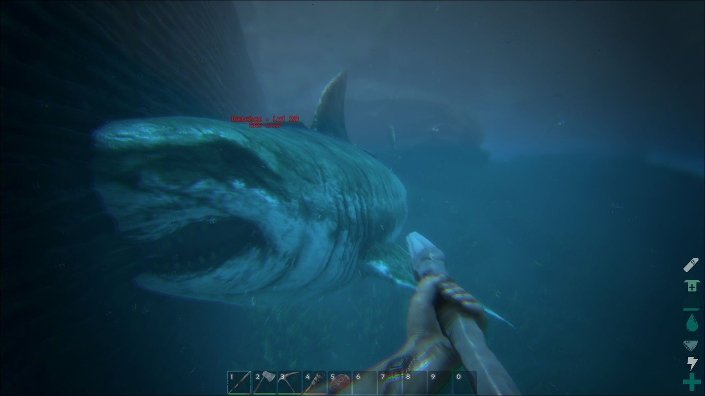 Ark: Survival EvolvedAuch Unterwasser warten Abenteuer. So ein Megalodon-Hai lässt sich ebenfalls zähmen und als lebendes U-Boot missbrauchen.