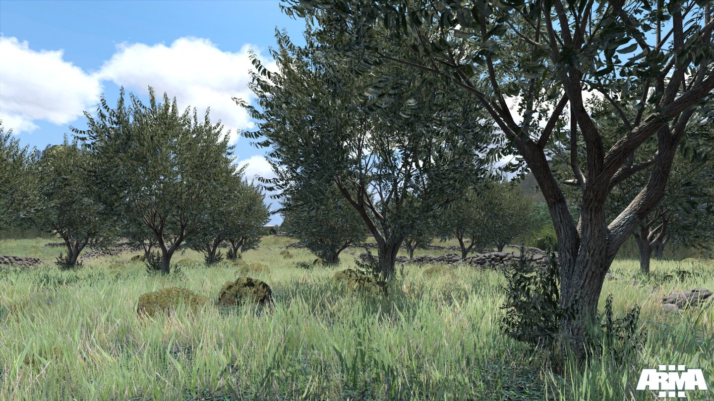 ARMA 3Die Entwickler haben viel Zeit in die Vegetation gesteckt.