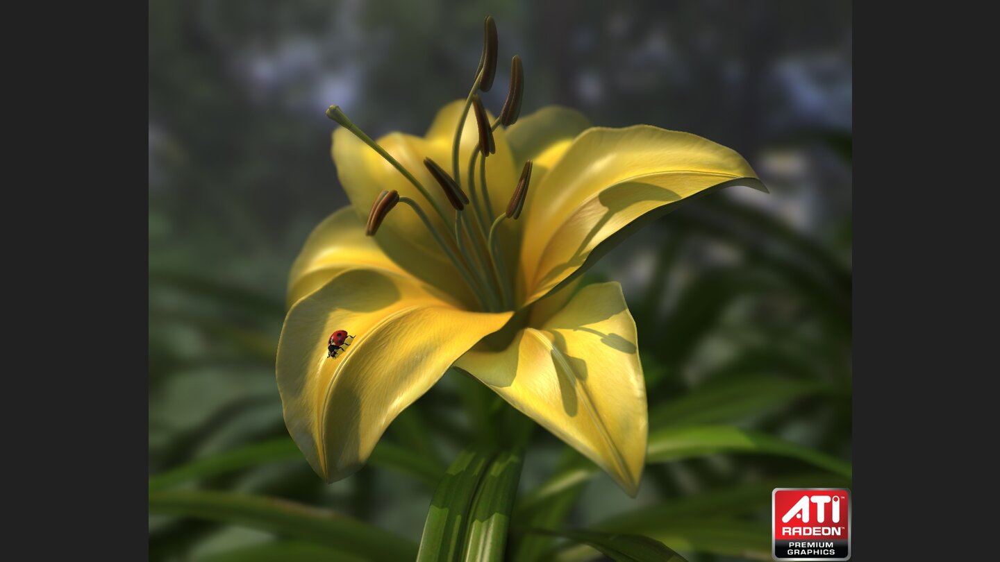 ATI: Technik-Demo Ladybug (2009)