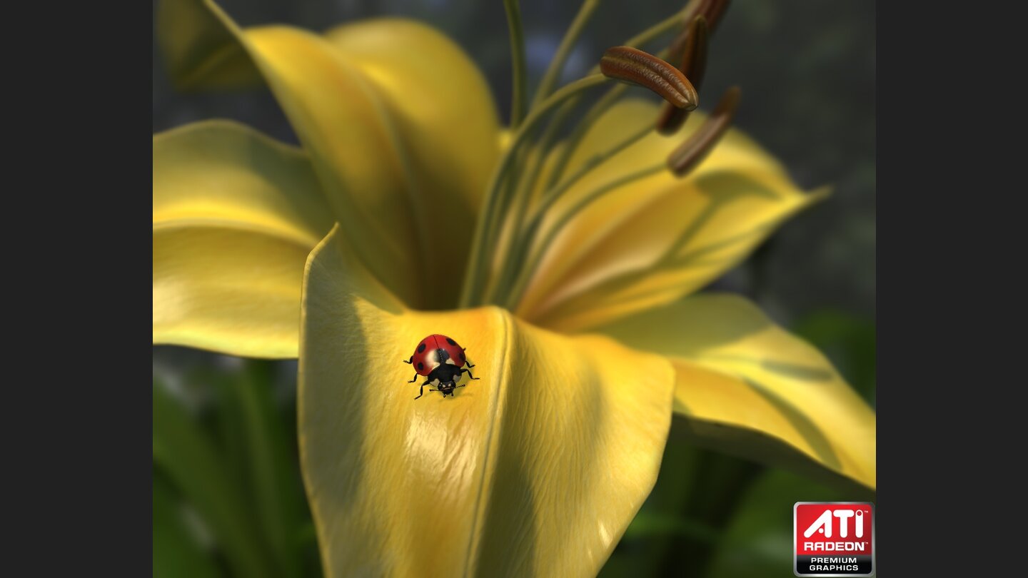 ATI: Technik-Demo Ladybug (2009)