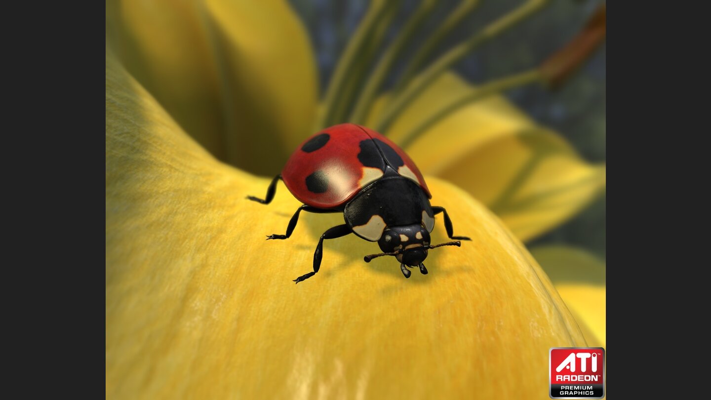 ATI: Technik-Demo Ladybug (2009)