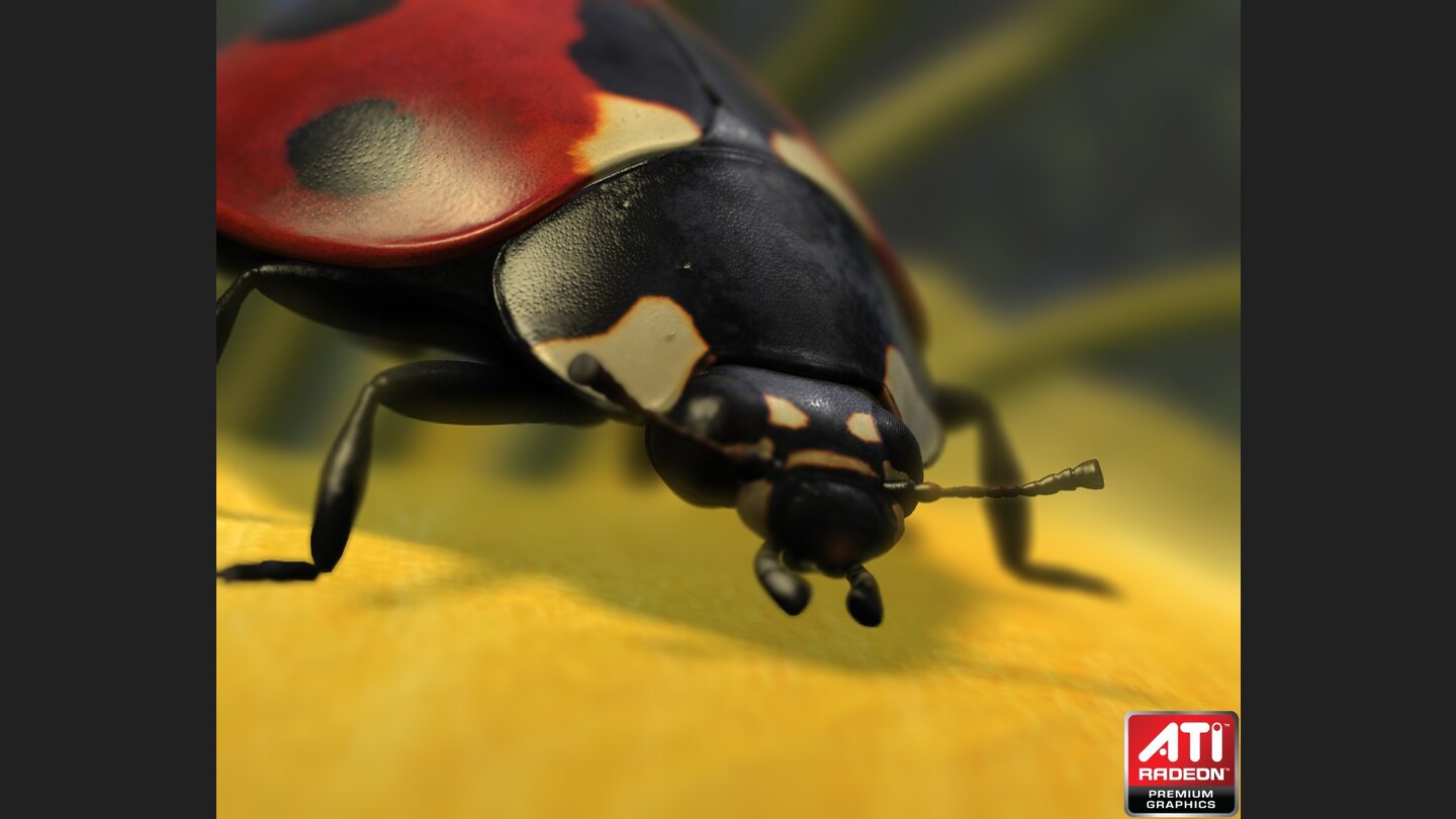 ATI: Technik-Demo Ladybug (2009)
