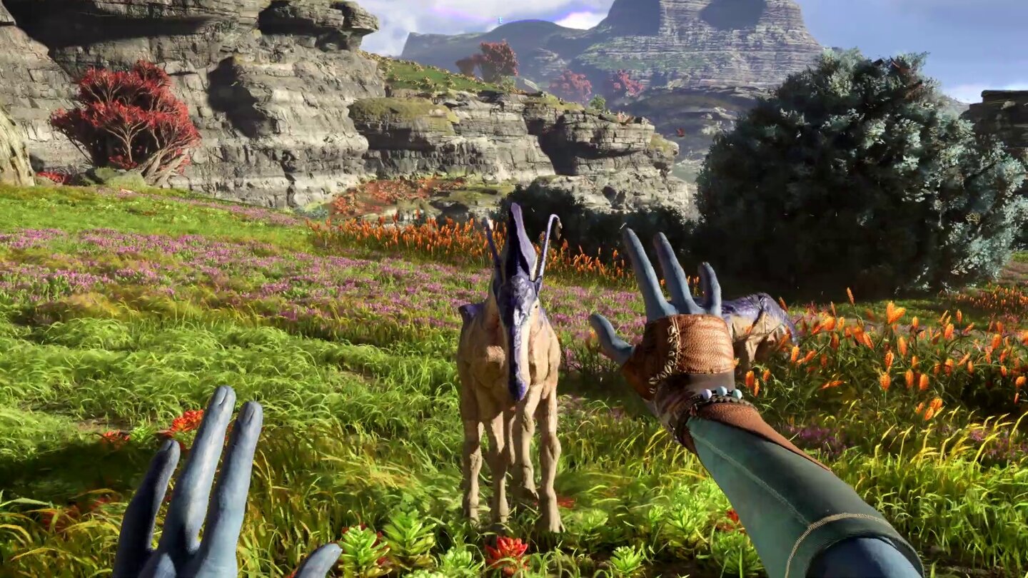 Avatar: Frontiers of Pandora