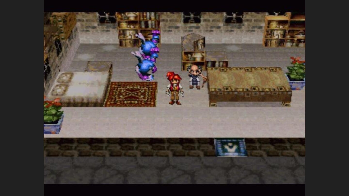 Those are horses?!