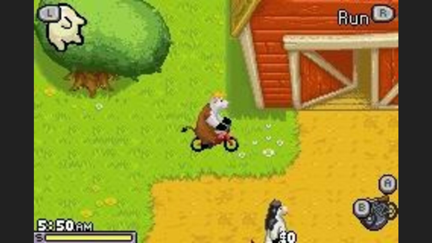 BarnyardGBA 2
