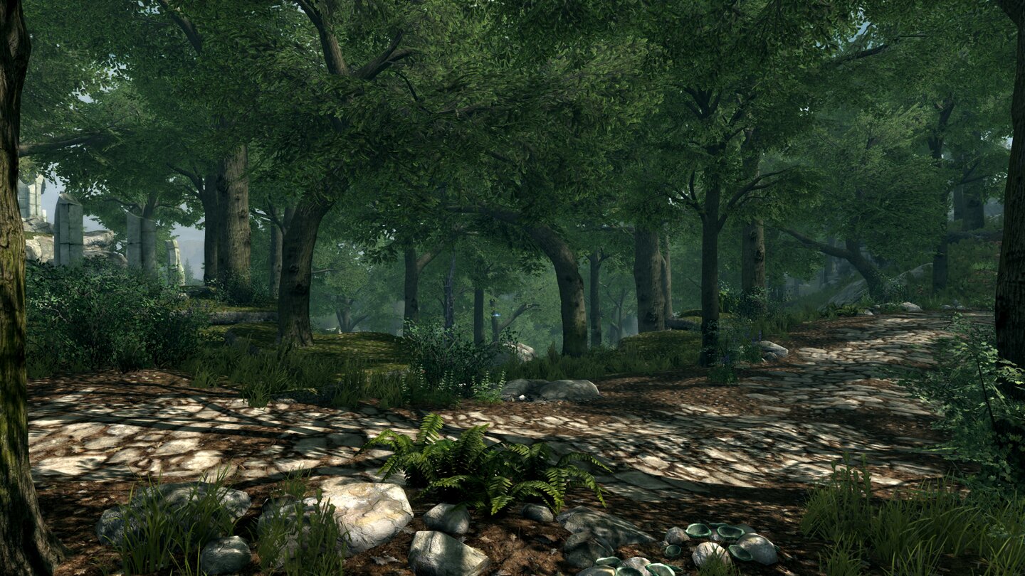 Beyond Skyrim Cyrodiil