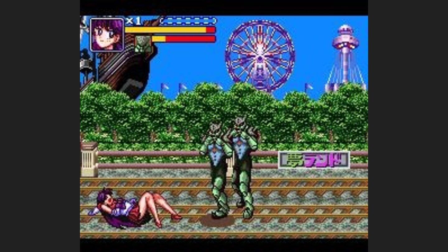 Amusement park level