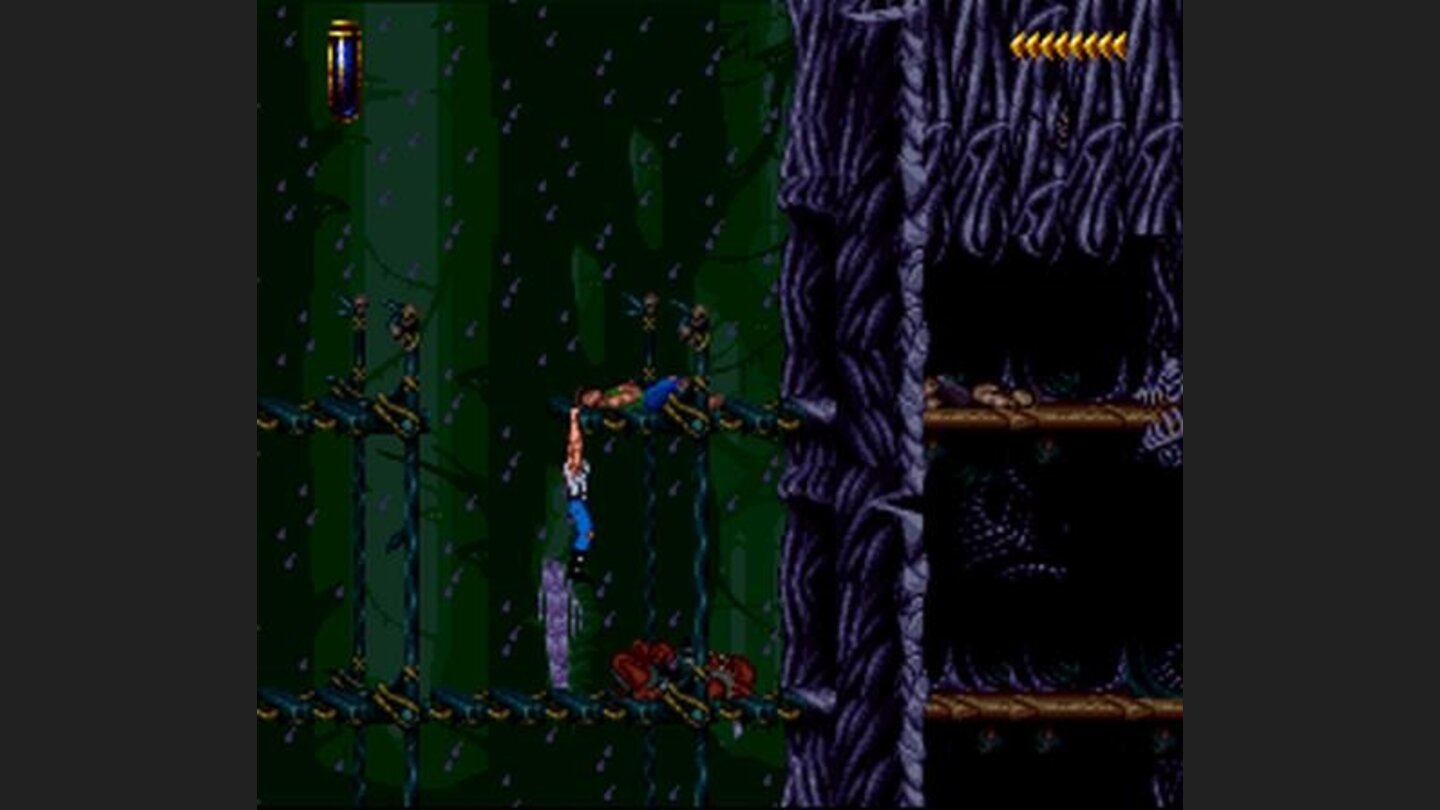 The second area - a primeval forest