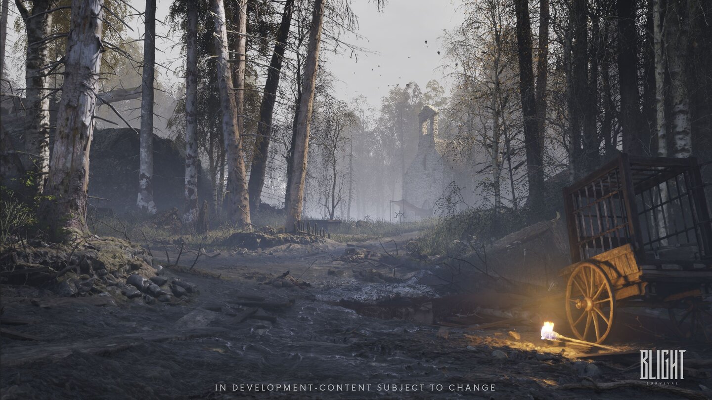 Blight: Survival
