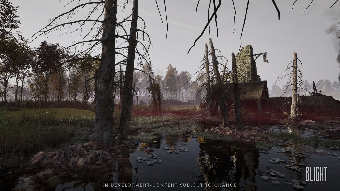Blight: Survival