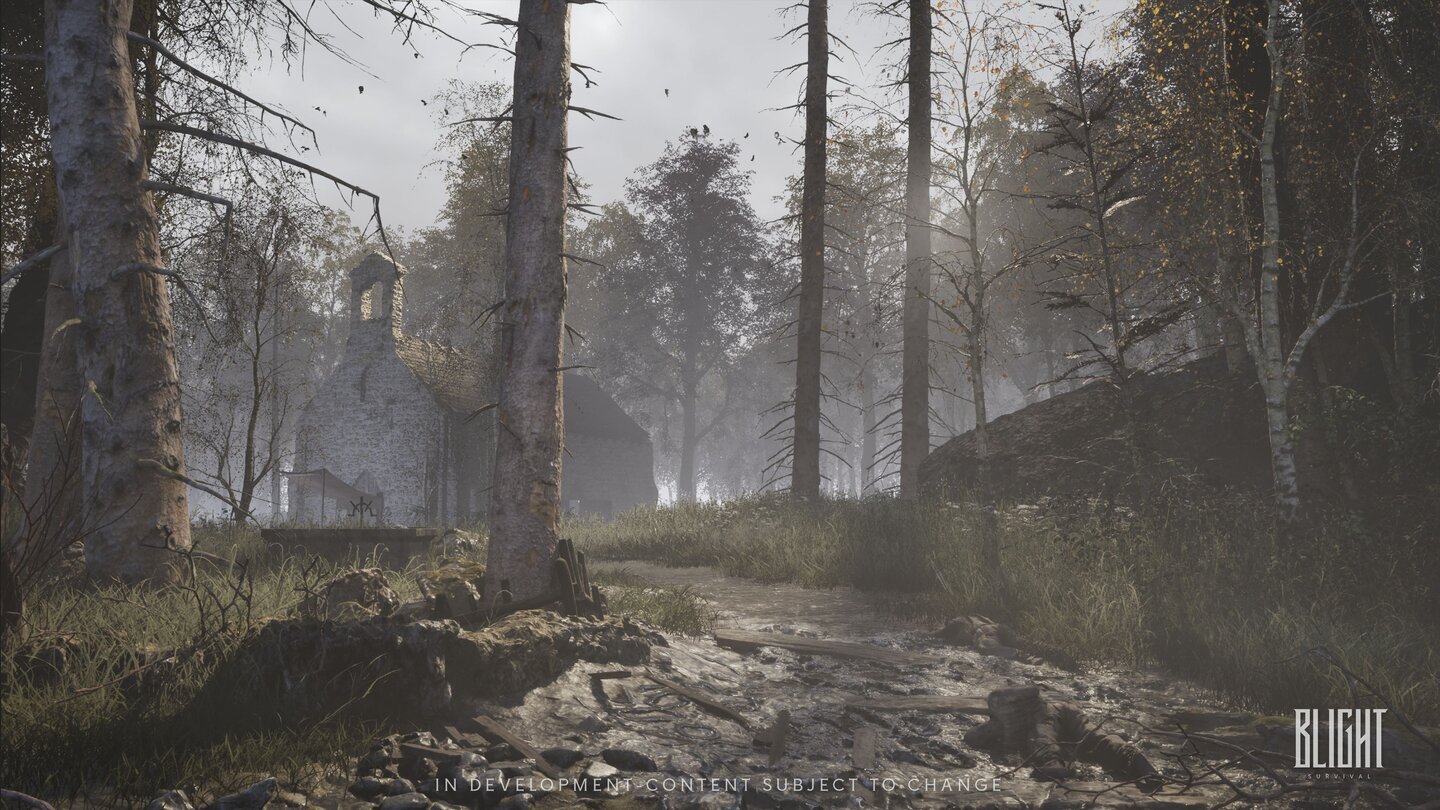 Blight: Survival