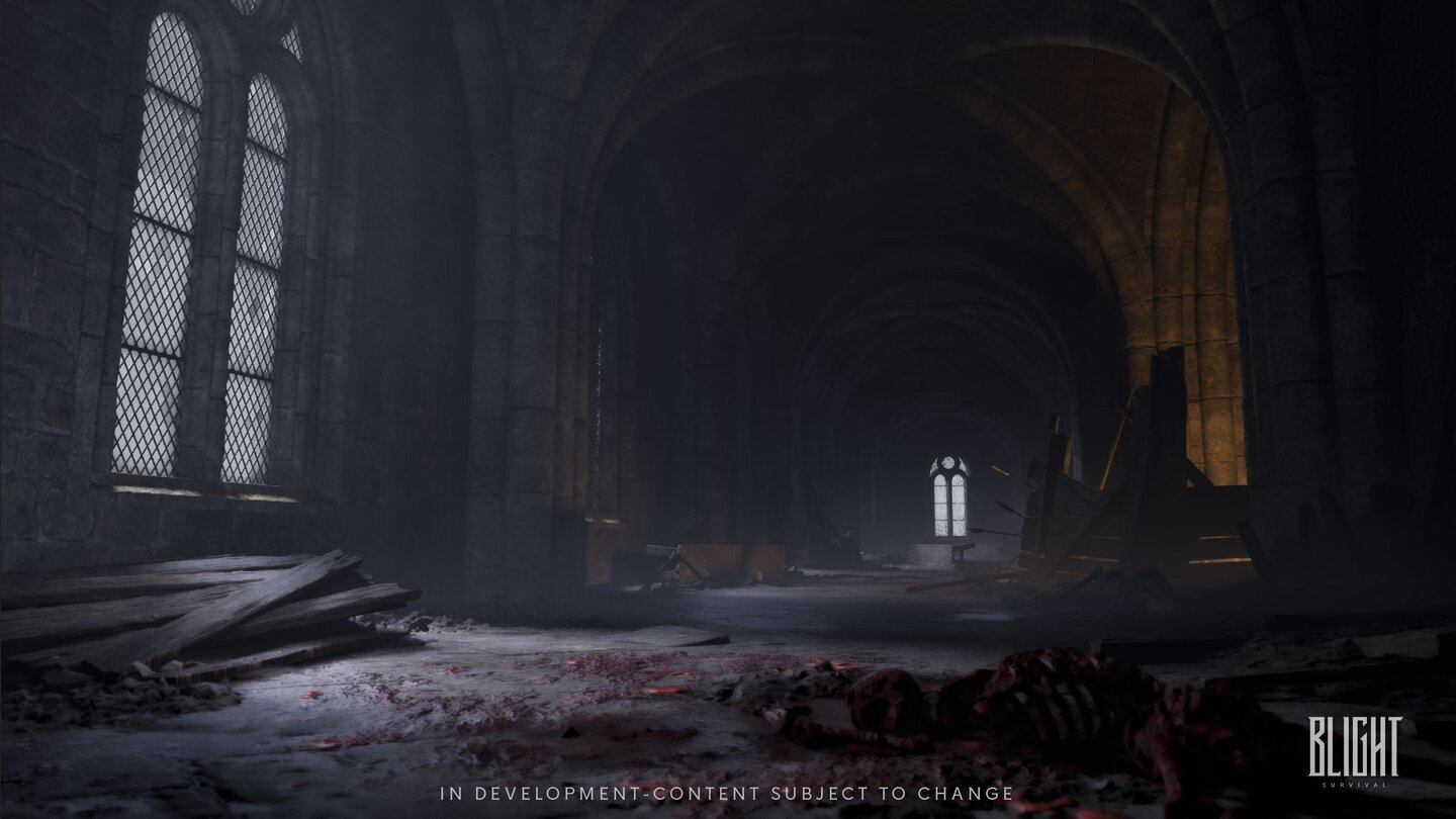 Blight: Survival