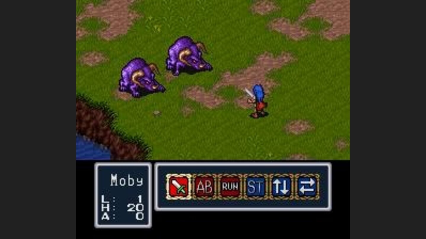 Random battle against two pigs... or whatever they are.