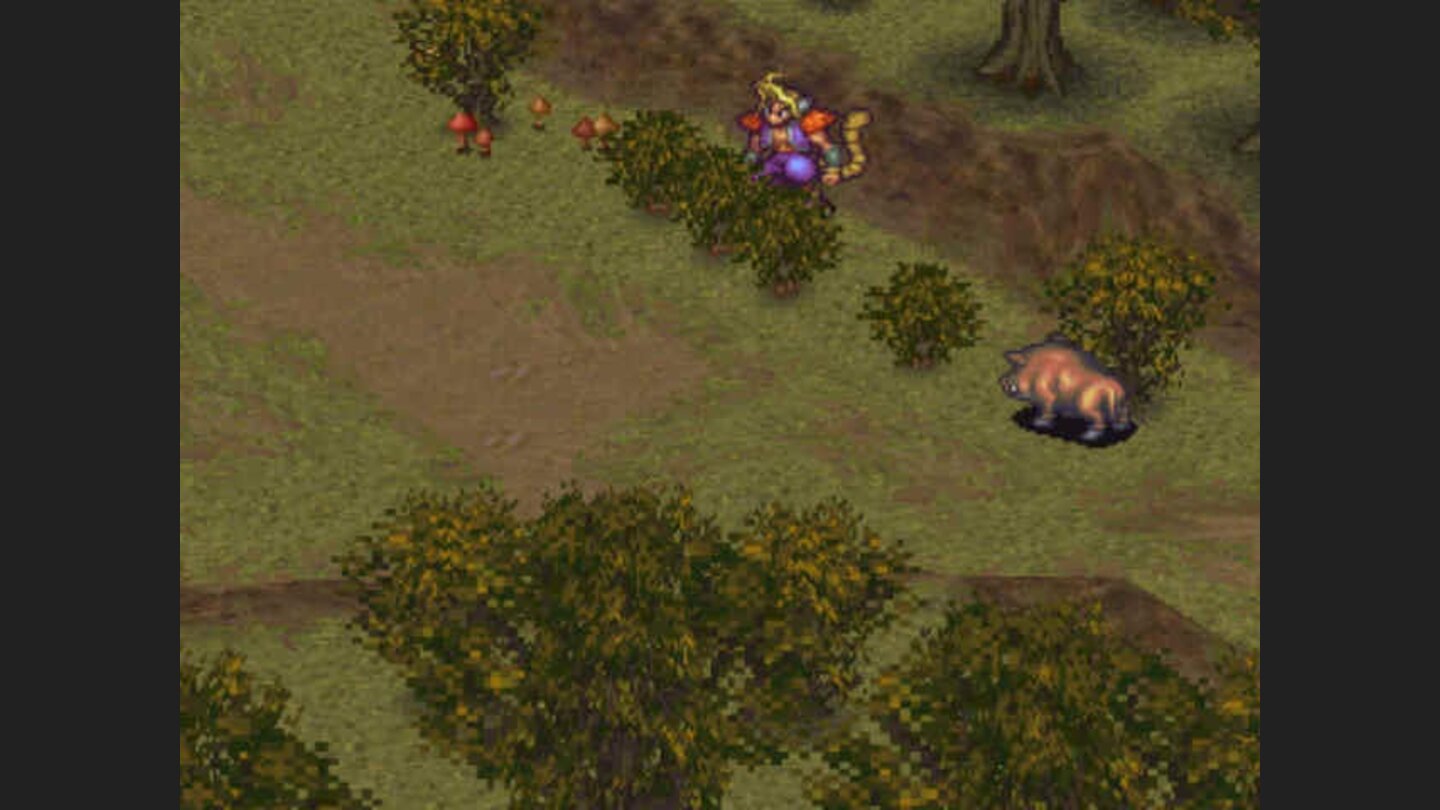 Rei is hunting wild boars