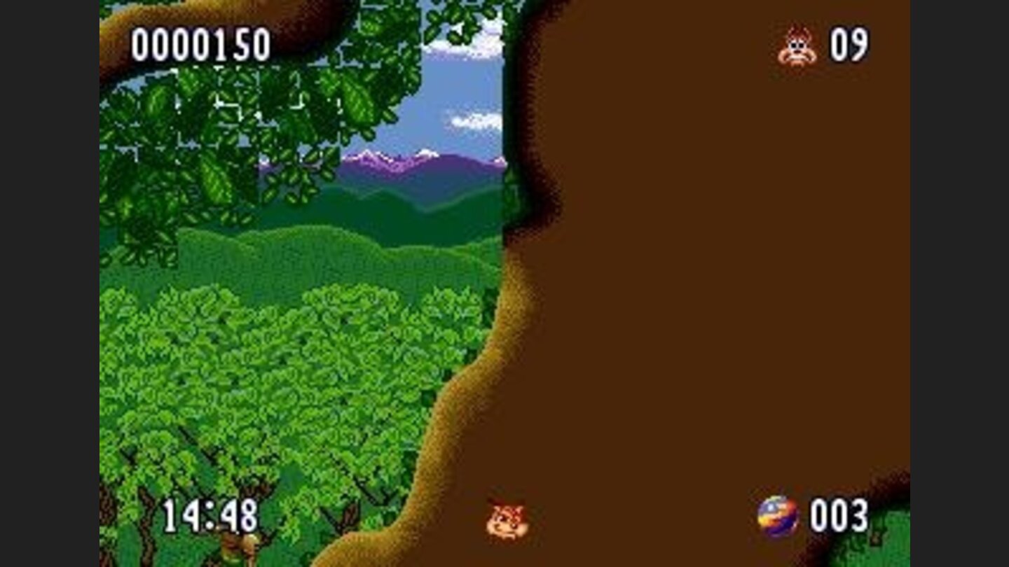 Bubsy is hidden by the huge tree