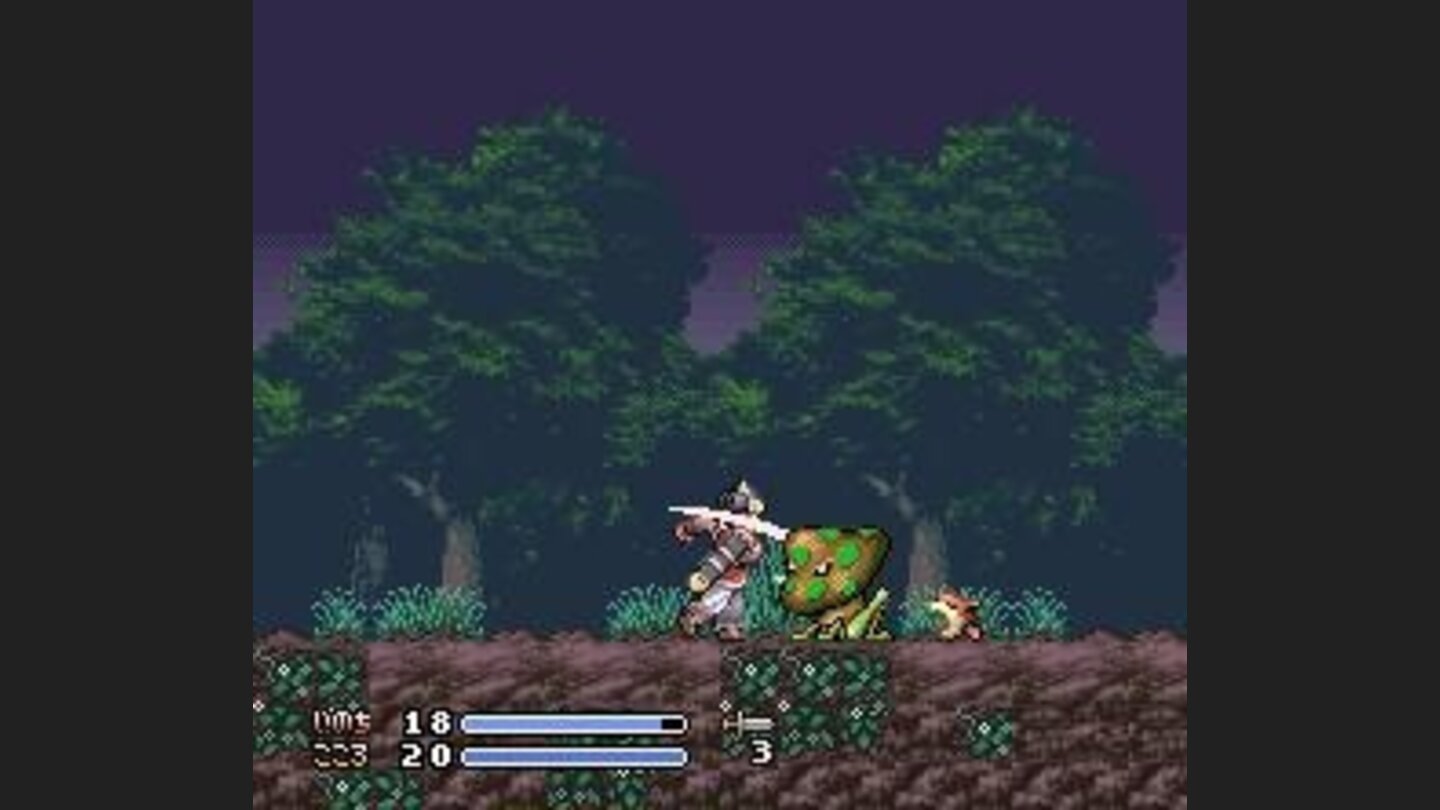 Hacking some bad guys in the forest