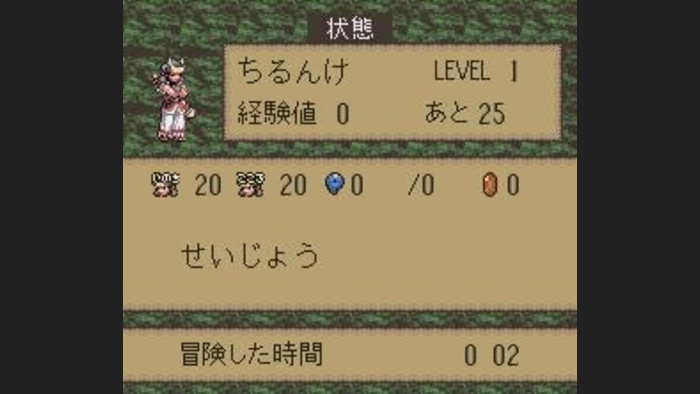 Character information