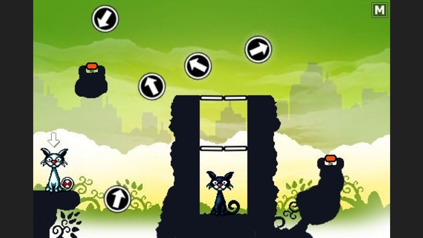 Cat Physics