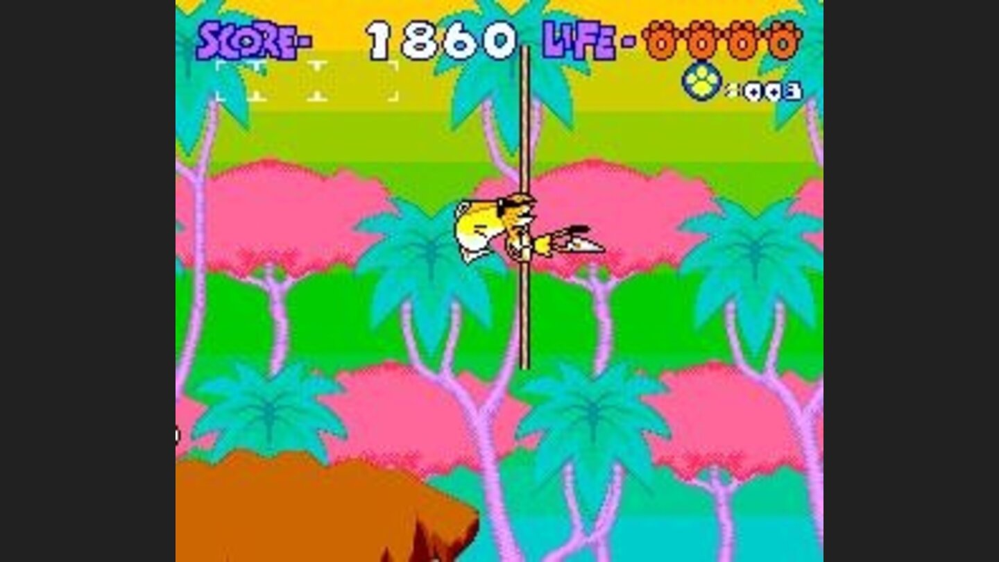 Swinging cheetah