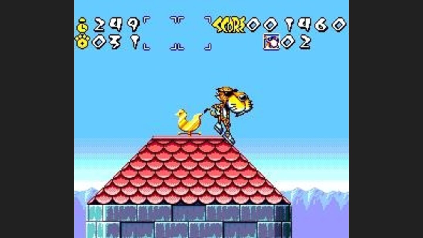 Cheetah on the roof!