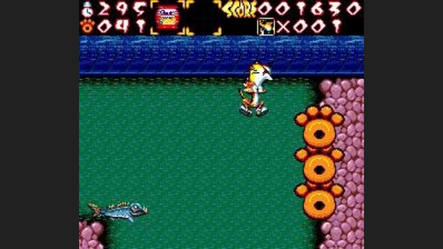 Bonus items to collect