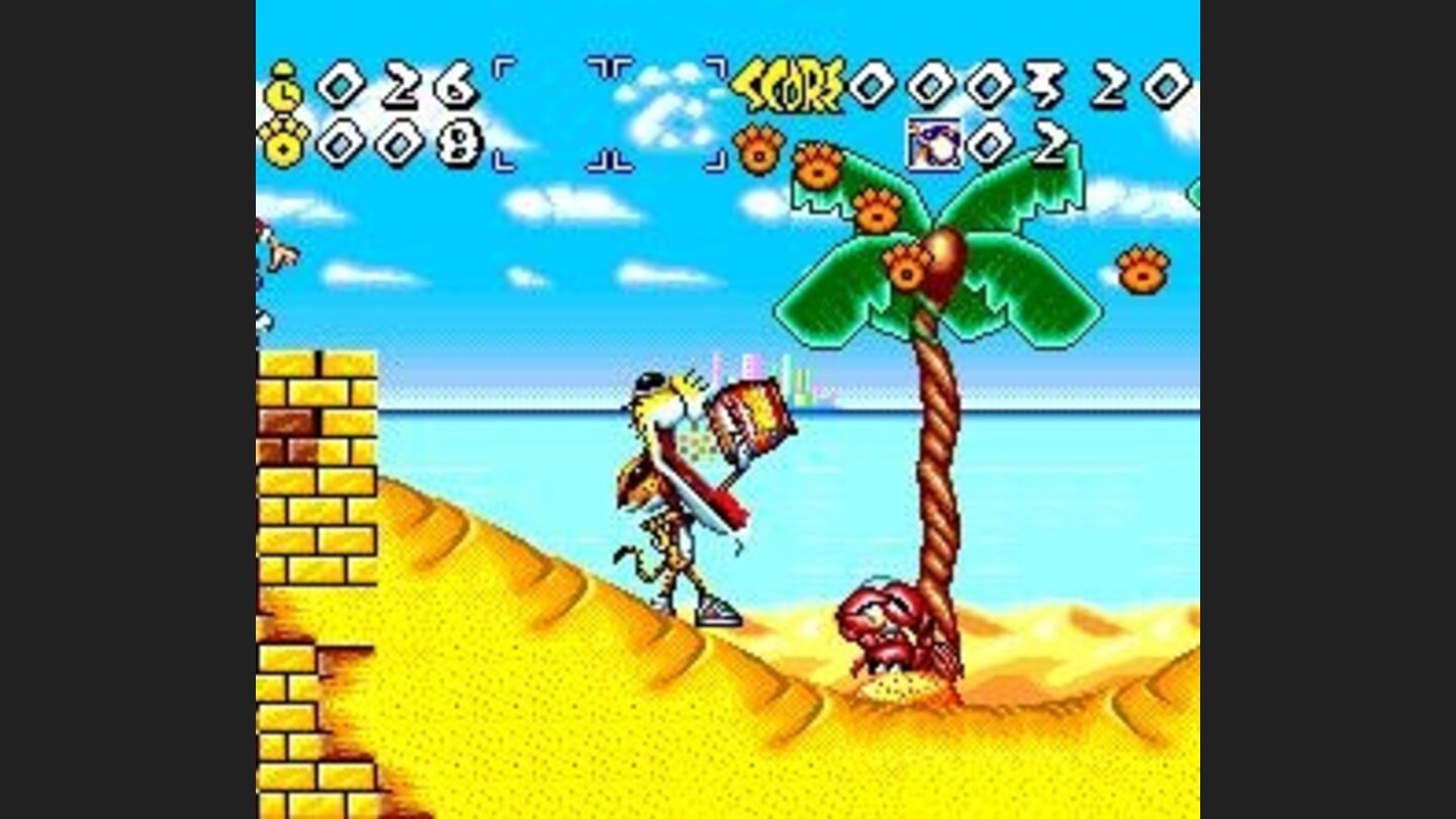Cheetah eats cheetahs on a beach