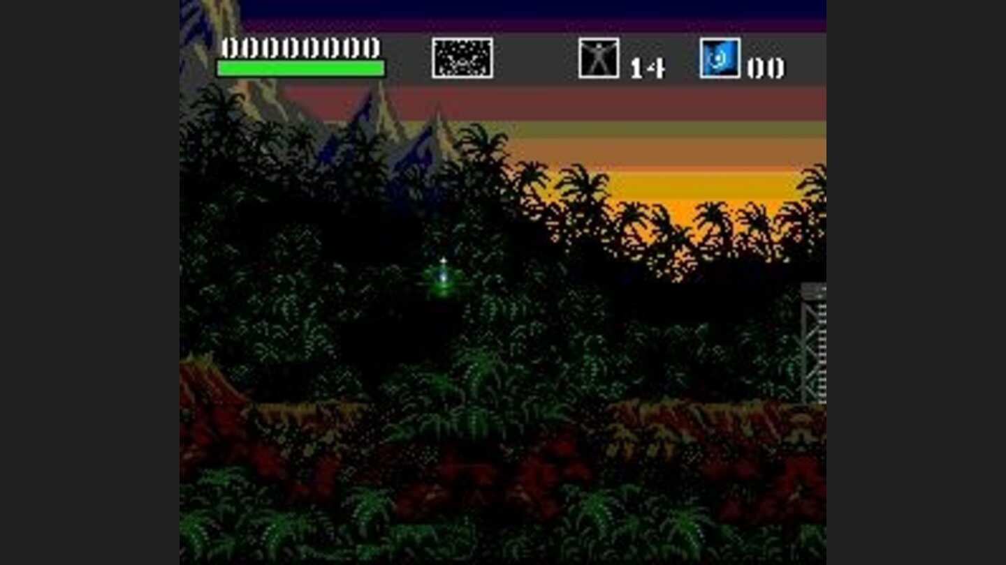 Beautiful jungle scenery