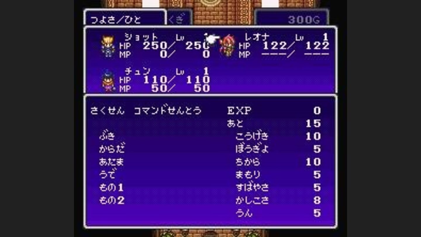 Character information