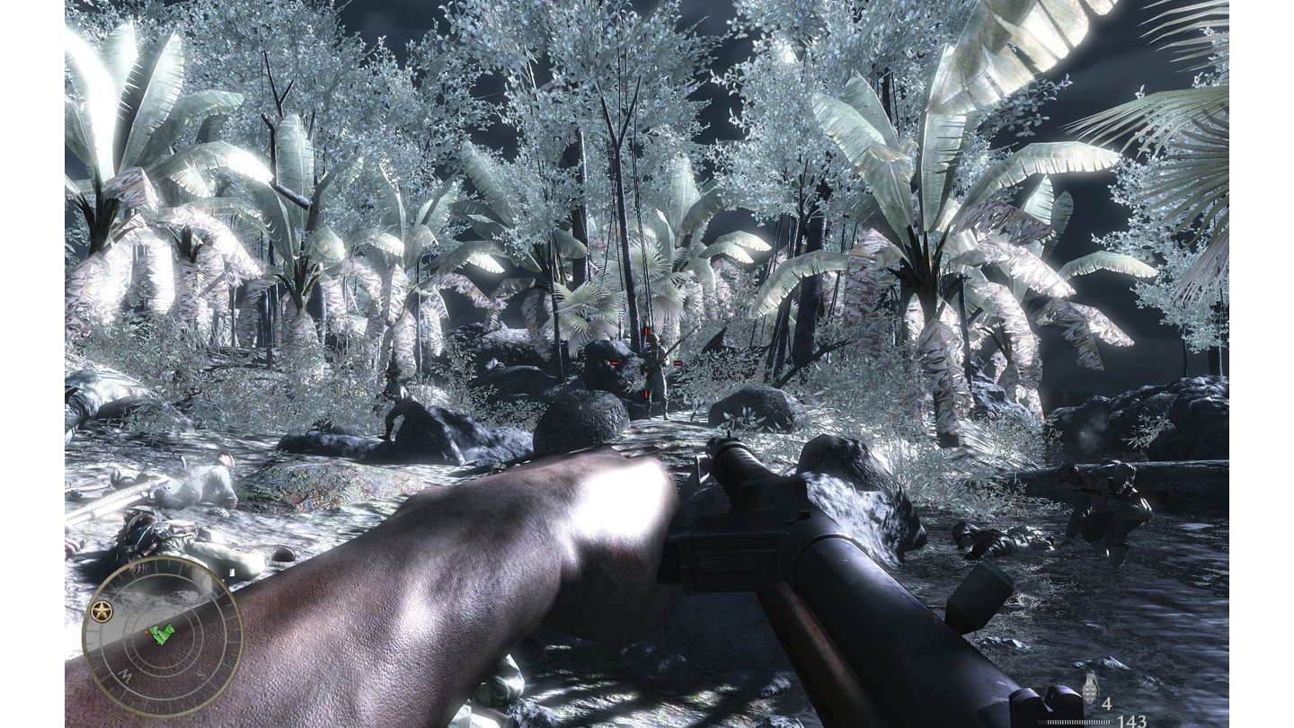 Call of Duty 5 - Schauplatz: Dschungel