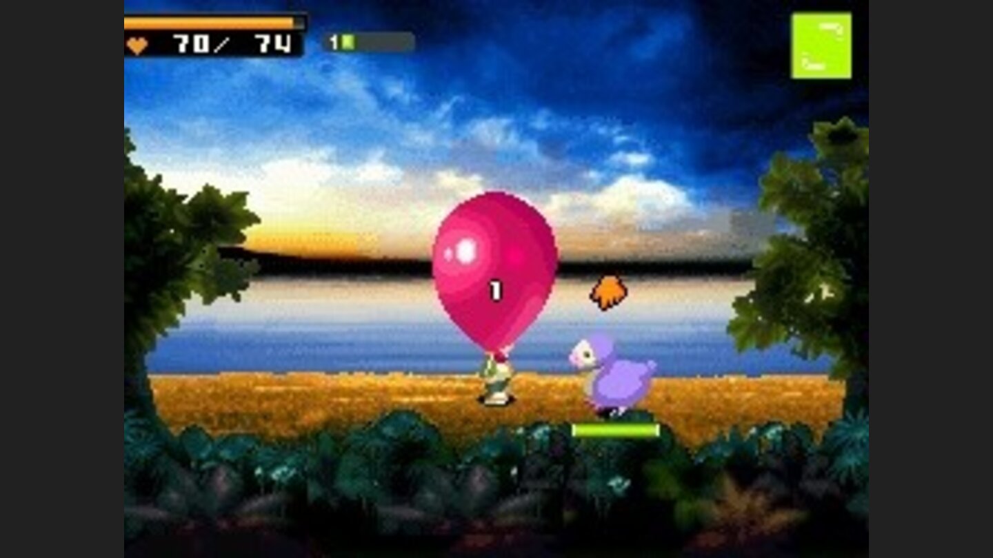 Contact 19