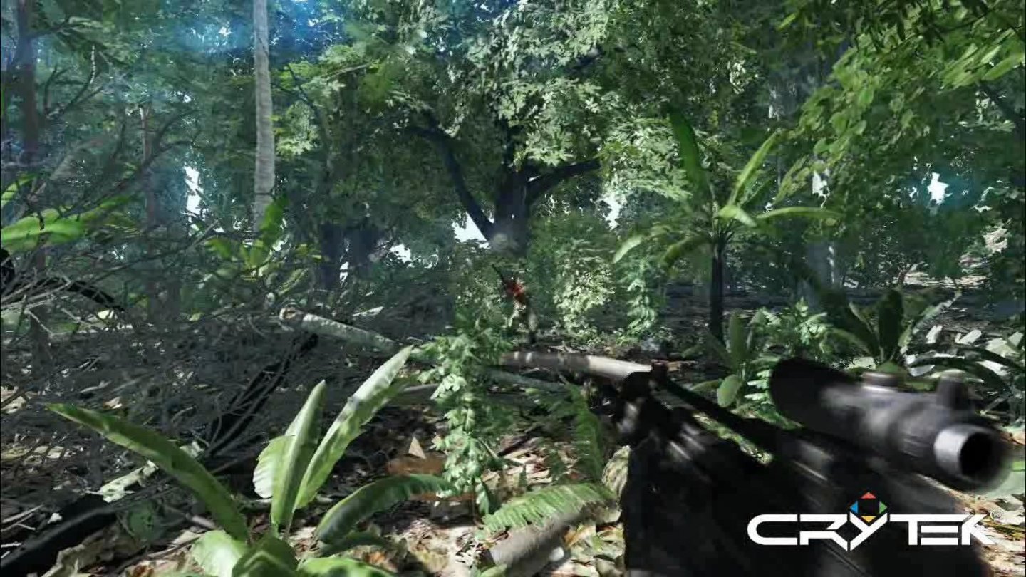 Crysis DirectX 9vs10 5