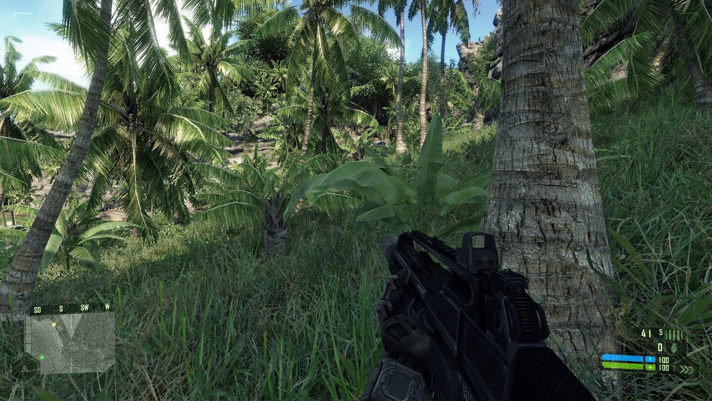 Crysis Vergleich PC vs Xbox - Vegetation 2 PC