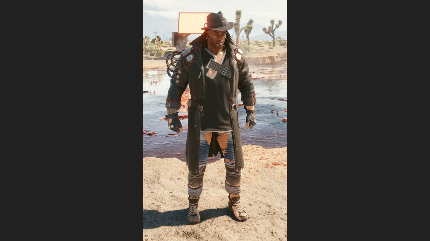 Cyberpunk 2077 Placide