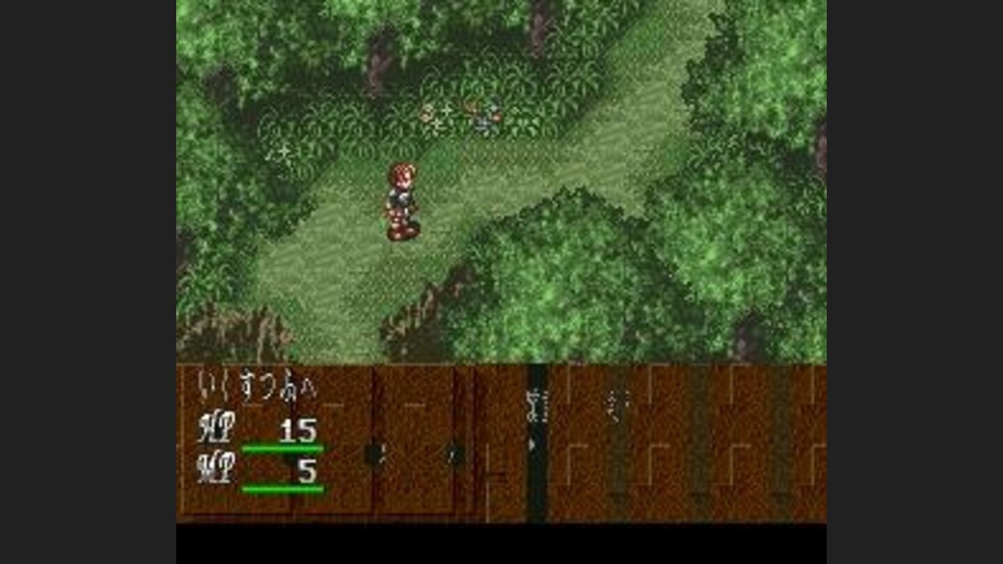 Forest path