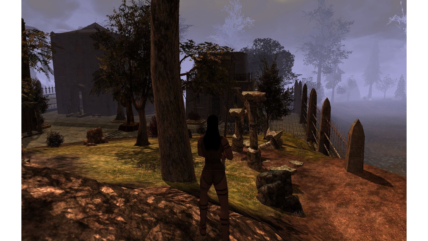 Darkfall Online