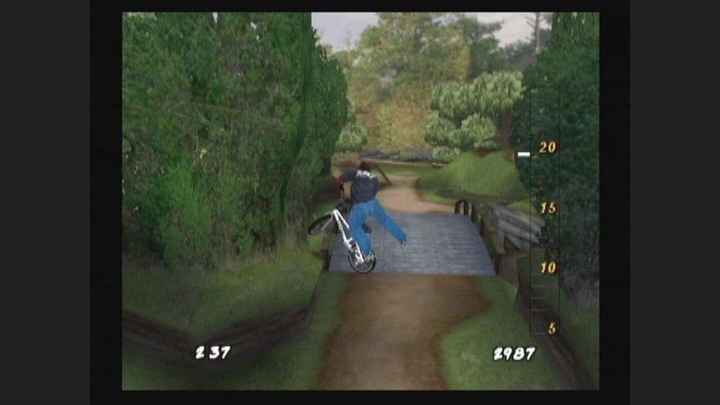 Tailwhip over the Swamp
