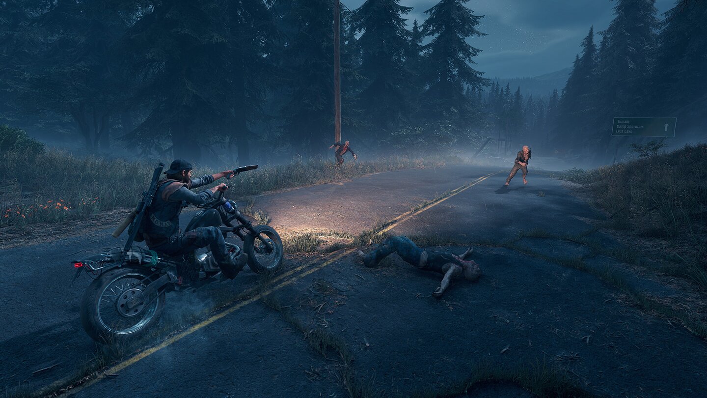 Days Gone - PC-Screenshots